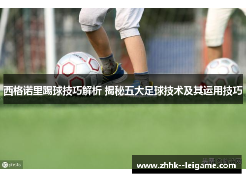 西格诺里踢球技巧解析 揭秘五大足球技术及其运用技巧