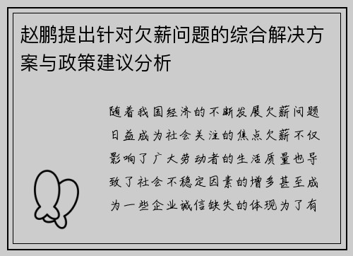 赵鹏提出针对欠薪问题的综合解决方案与政策建议分析